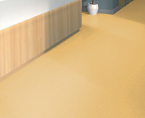 Tarkett iq Melodia 2633 фото 2 | FLOORDEALER